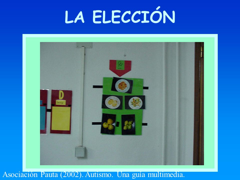 LA ELECCIÓN X Asociación Pauta (2002). Autismo. Una guía multimedia.