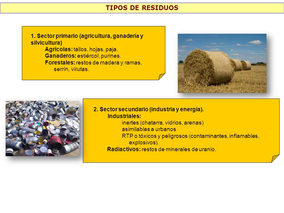 TIPOS DE RESIDUOS 1. Sector primario (agricultura, ganadería y silvicultura) Agrícolas: tallos, hojas, paja.