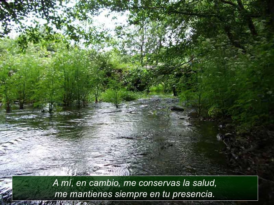 A mí, en cambio, me conservas la salud, me mantienes siempre en tu presencia.