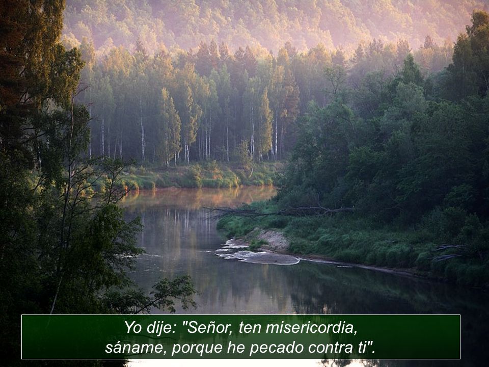 Yo dije: Señor, ten misericordia, sáname, porque he pecado contra ti .