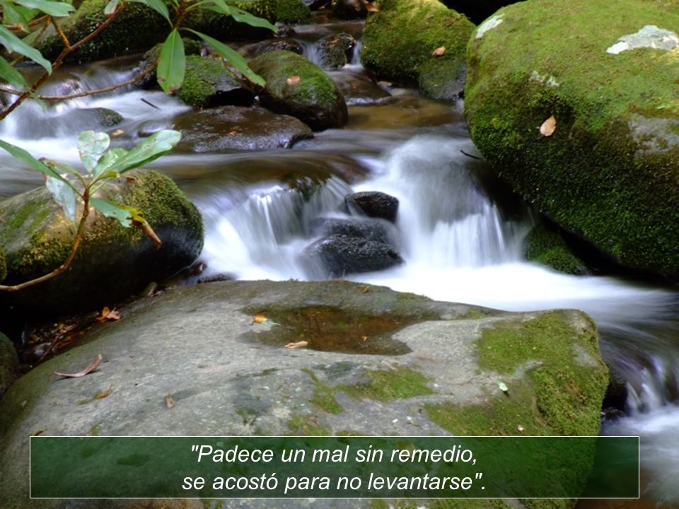 Padece un mal sin remedio, se acostó para no levantarse .