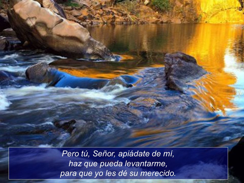 Pero tú, Señor, apiádate de mí, haz que pueda levantarme, para que yo les dé su merecido.