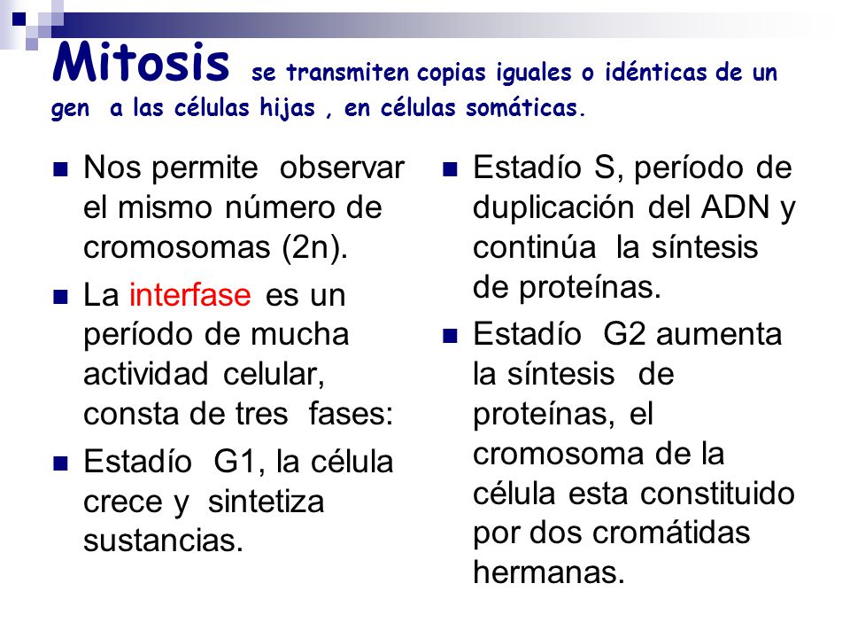 Mitosis se transmiten copias iguales o idénticas de un gen a las células hijas , en células somáticas.
