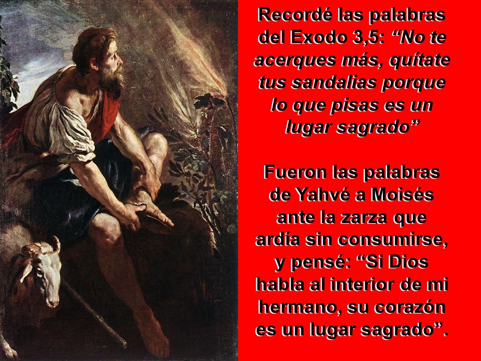 Recordé las palabras del Exodo 3,5: No te acerques más, quítate tus sandalias porque lo que pisas es un lugar sagrado