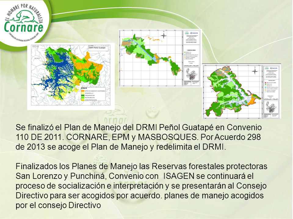 Se finalizó el Plan de Manejo del DRMI Peñol Guatapé en Convenio 110 DE CORNARE, EPM y MASBOSQUES. Por Acuerdo 298 de 2013 se acoge el Plan de Manejo y redelimita el DRMI.