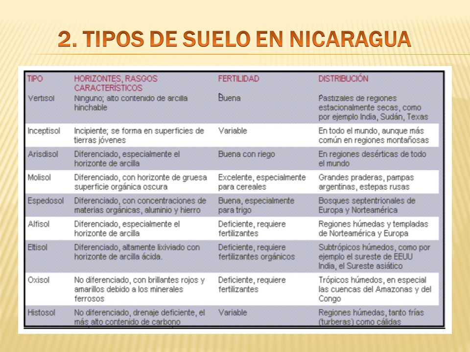 2. TIPOS DE SUELO EN NICARAGUA