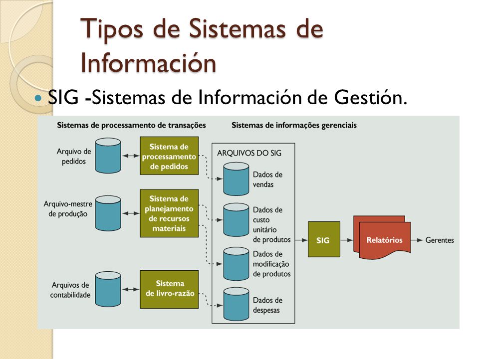 Tipos de Sistemas de Información