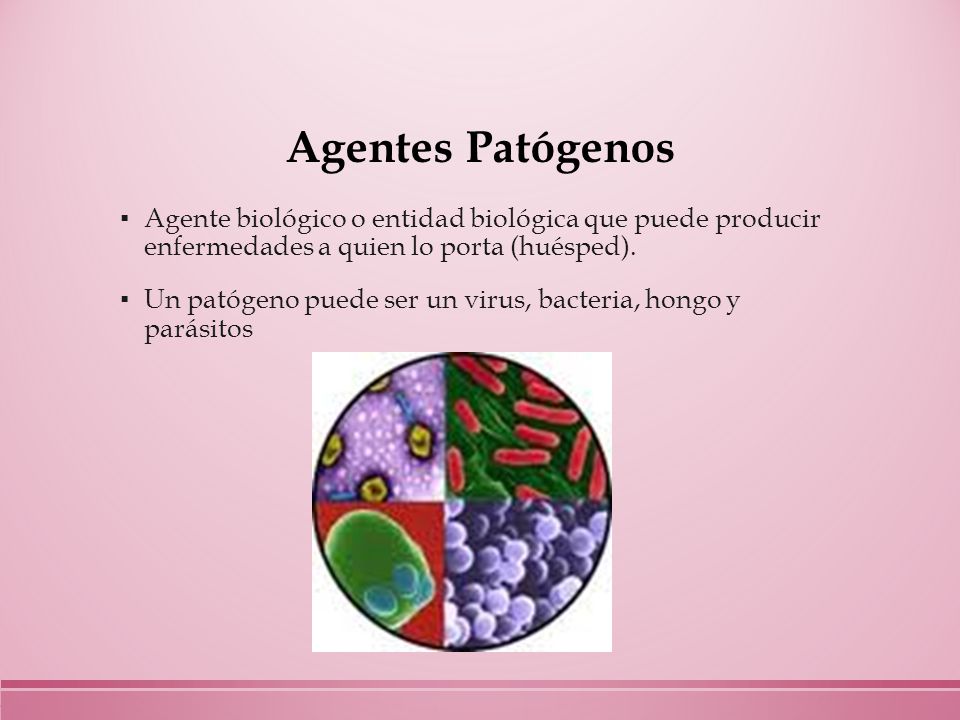 Agentes Patógenos Agente biológico o entidad biológica que puede producir enfermedades a quien lo porta (huésped).