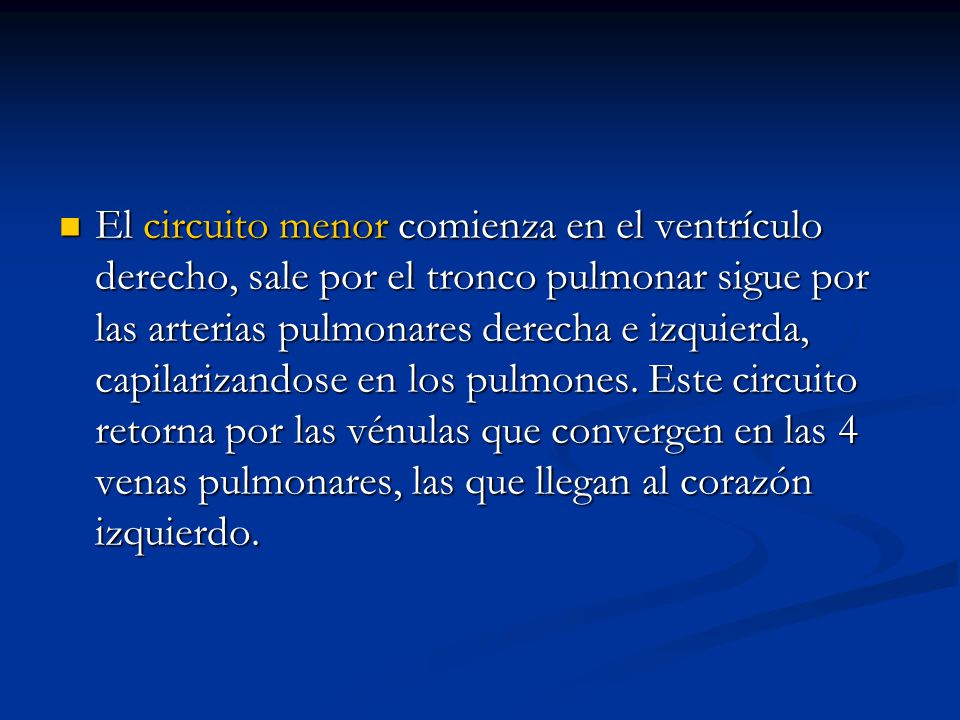 El circuito menor comienza en el ventrículo derecho, sale por el tronco pulmonar sigue por las arterias pulmonares derecha e izquierda, capilarizandose en los pulmones.