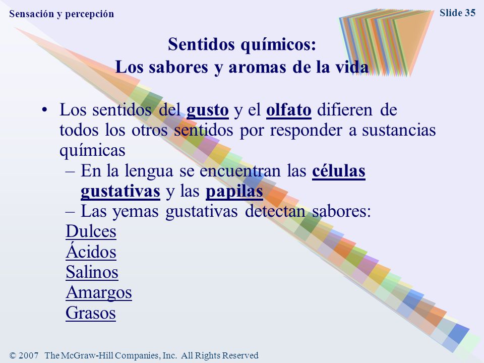 Sentidos químicos: Los sabores y aromas de la vida