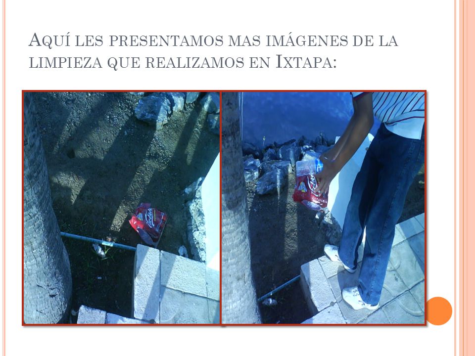 Aquí les presentamos mas imágenes de la limpieza que realizamos en Ixtapa: