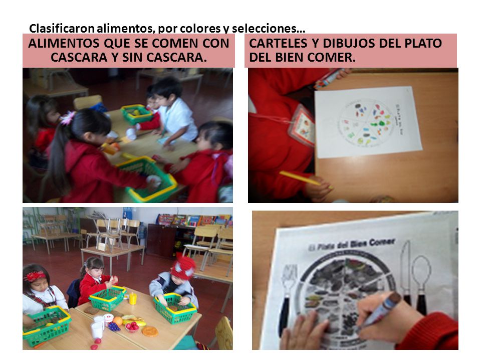 Clasificaron alimentos, por colores y selecciones…