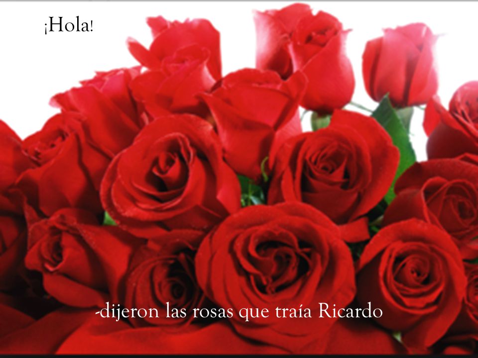 -dijeron las rosas que traía Ricardo
