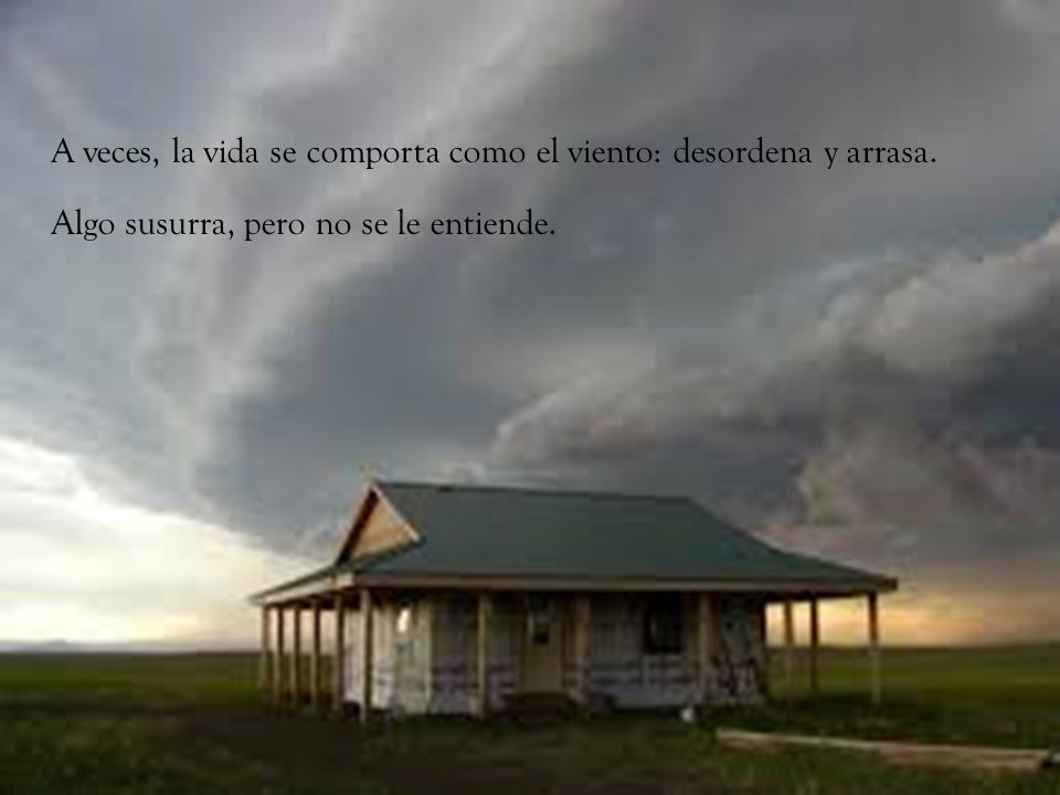 A veces, la vida se comporta como el viento: desordena y arrasa