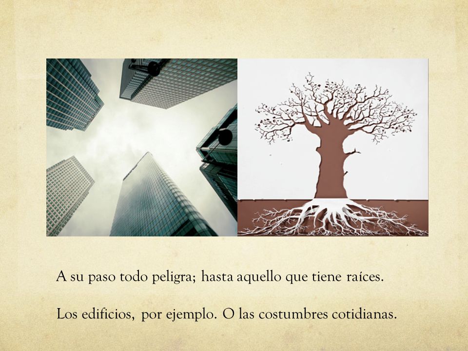 A su paso todo peligra; hasta aquello que tiene raíces