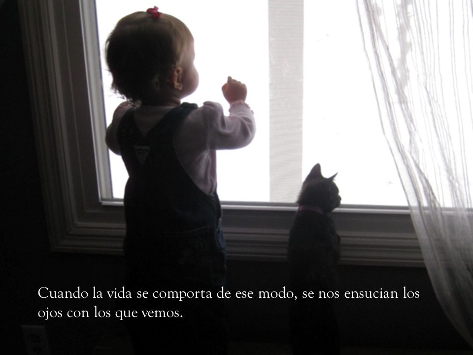 Cuando la vida se comporta de ese modo, se nos ensucian los ojos con los que vemos.