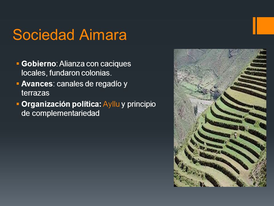 Sociedad Aimara Gobierno: Alianza con caciques locales, fundaron colonias. Avances: canales de regadío y terrazas.
