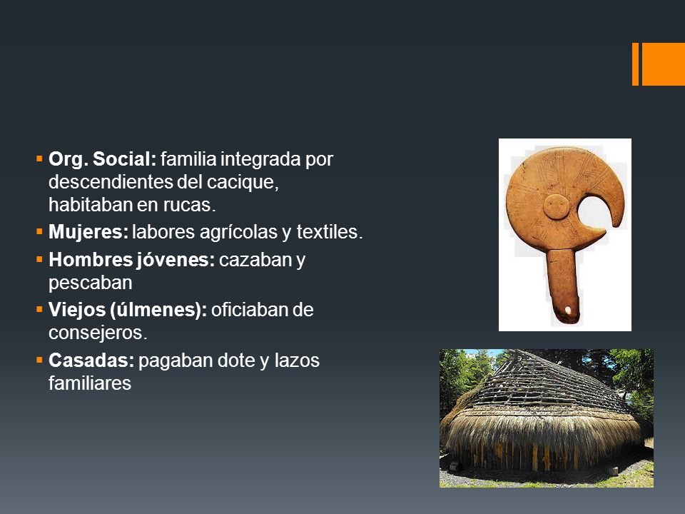 Org. Social: familia integrada por descendientes del cacique, habitaban en rucas.