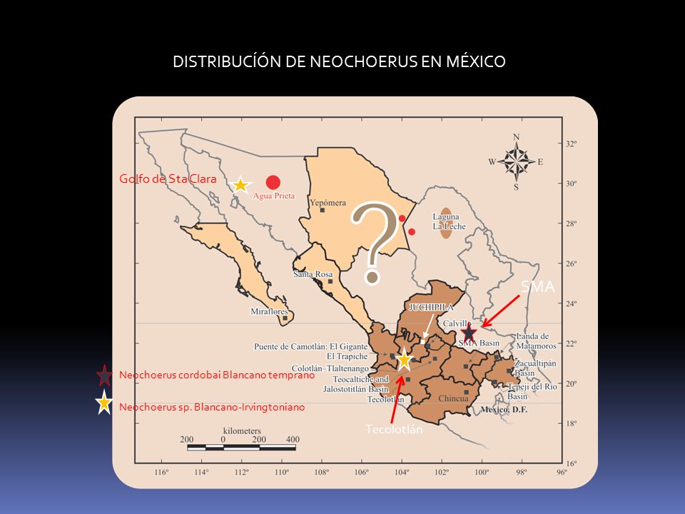 DISTRIBUCÍÓN DE NEOCHOERUS EN MÉXICO