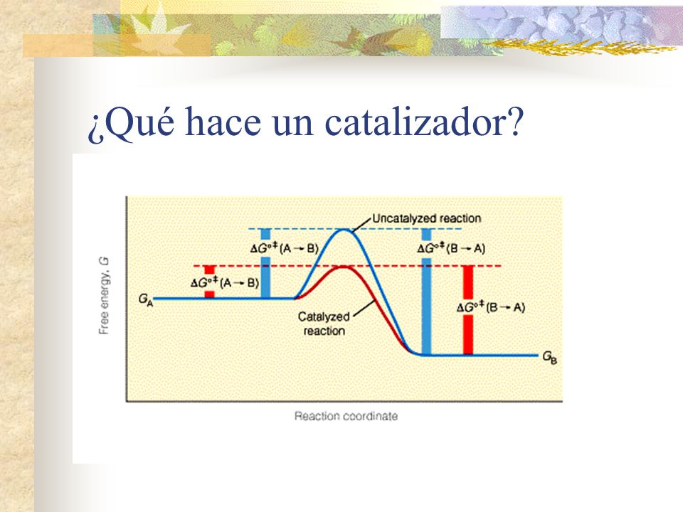 ¿Qué hace un catalizador