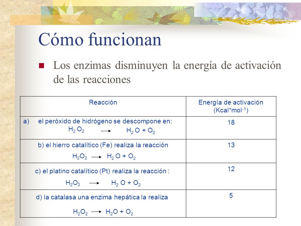 Cómo funcionan Los enzimas disminuyen la energía de activación de las reacciones. Reacción. Energía de activación (Kcal*mol-1)