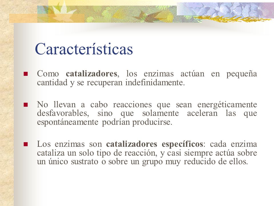 Características Como catalizadores, los enzimas actúan en pequeña cantidad y se recuperan indefinidamente.
