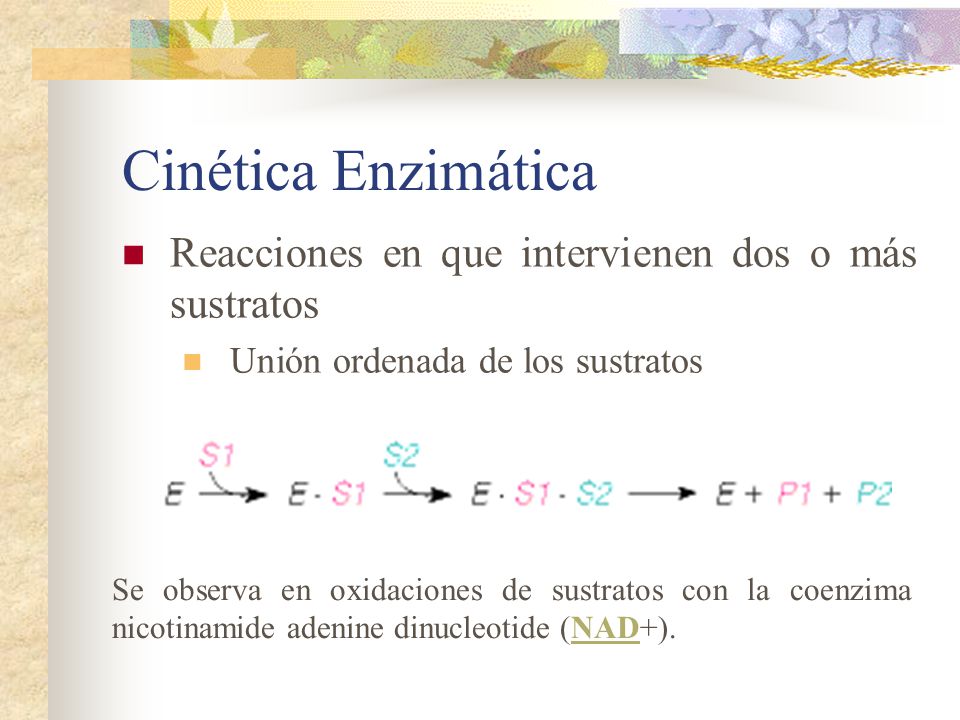Cinética Enzimática Reacciones en que intervienen dos o más sustratos