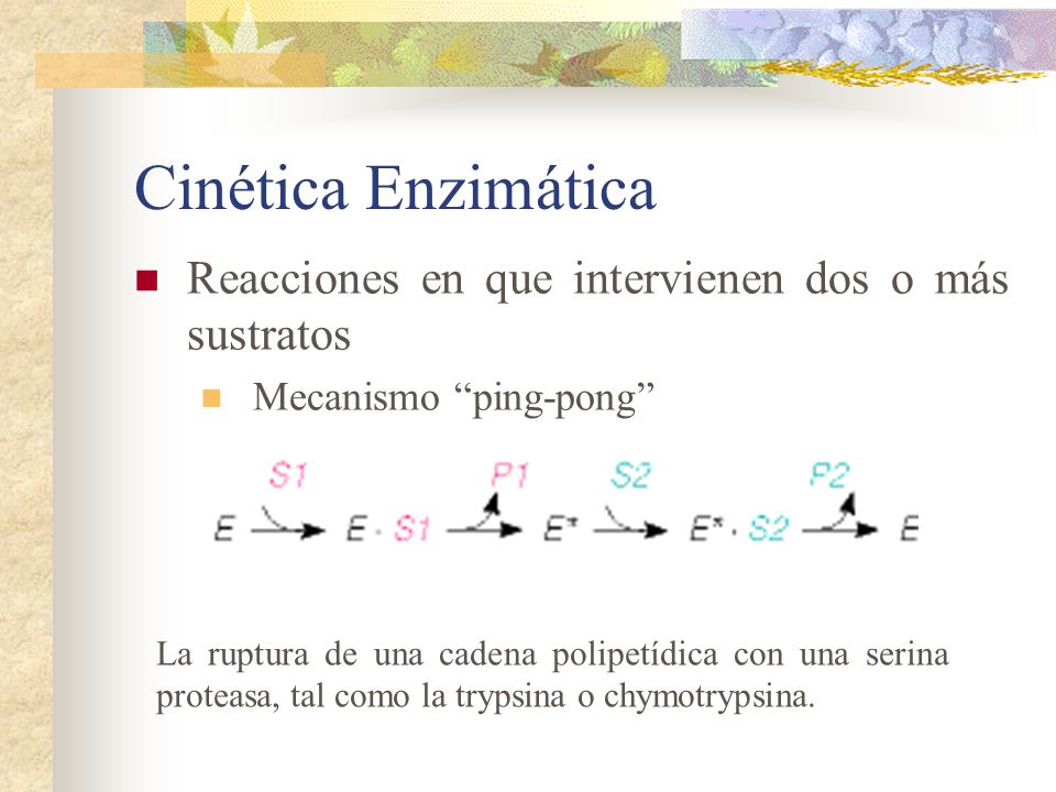 Cinética Enzimática Reacciones en que intervienen dos o más sustratos