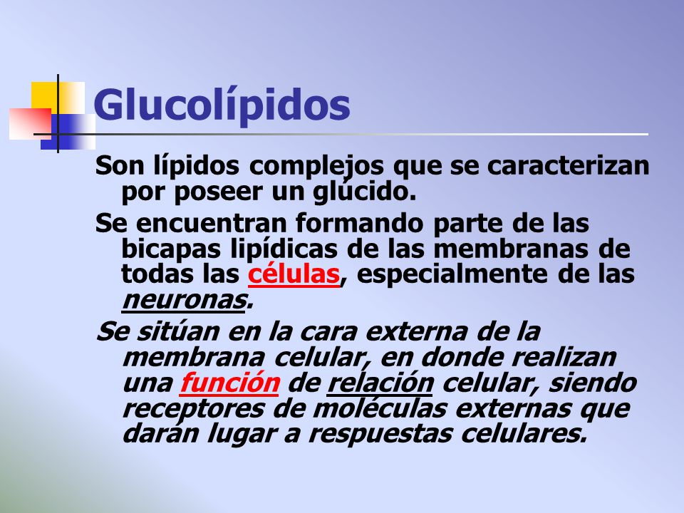 Glucolípidos Son lípidos complejos que se caracterizan por poseer un glúcido.