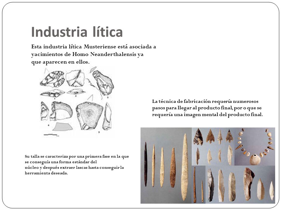 Industria lítica Esta industria lítica Musteriense está asociada a yacimientos de Homo Neanderthalensis ya.