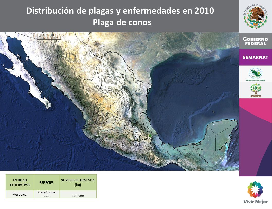 Distribución de plagas y enfermedades en 2010 SUPERFICIE TRATADA (ha)