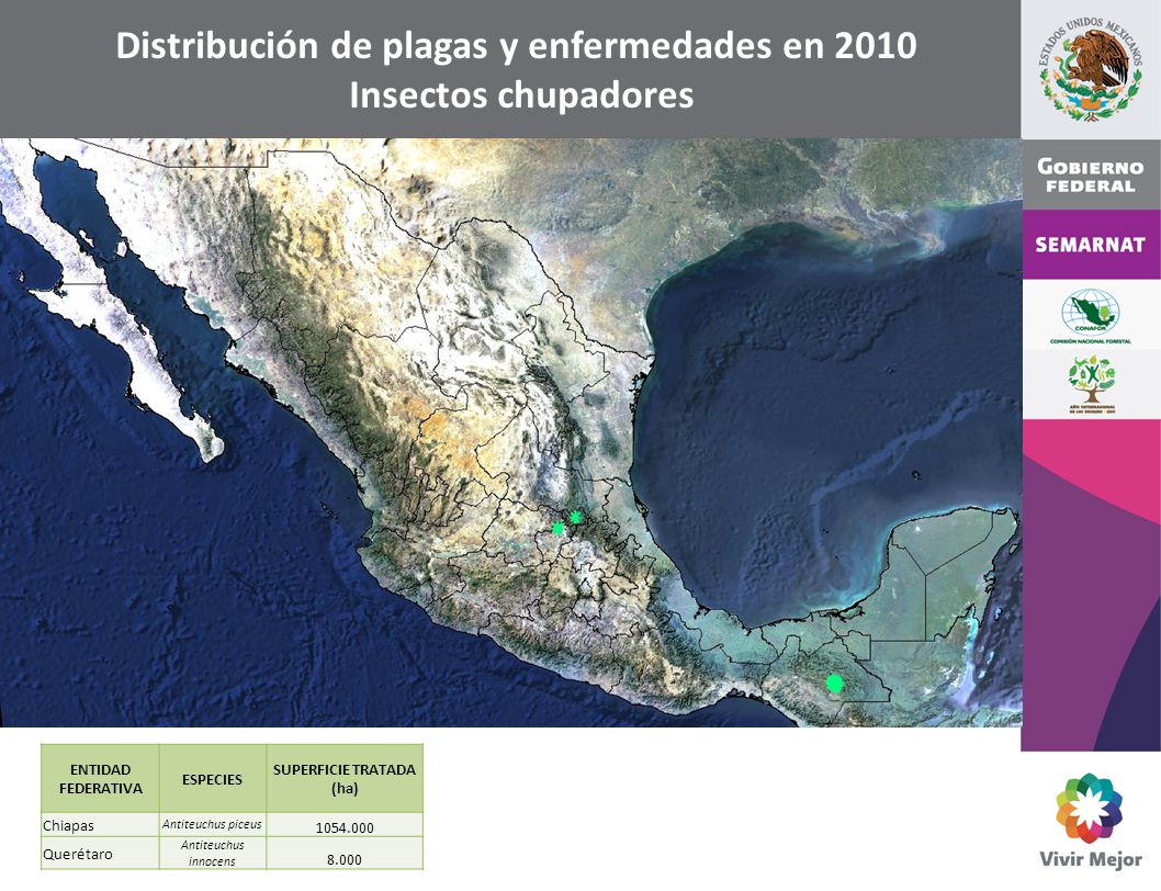 Distribución de plagas y enfermedades en 2010 SUPERFICIE TRATADA (ha)