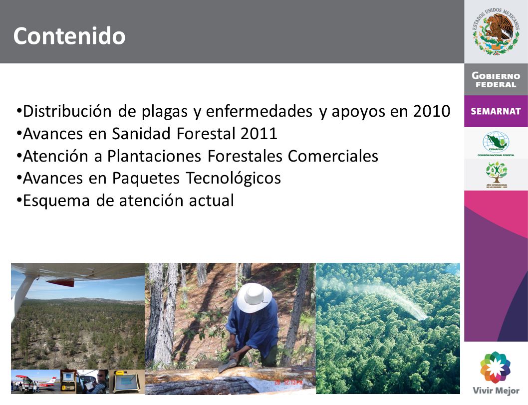 Contenido Distribución de plagas y enfermedades y apoyos en 2010