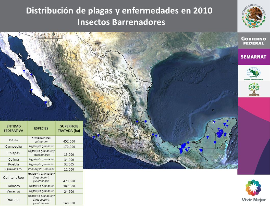 Distribución de plagas y enfermedades en 2010 Insectos Barrenadores