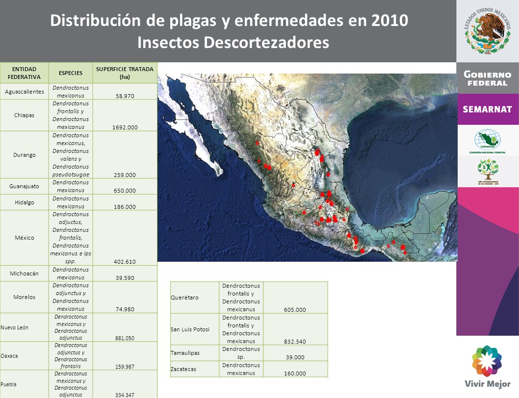 Distribución de plagas y enfermedades en 2010 Insectos Descortezadores