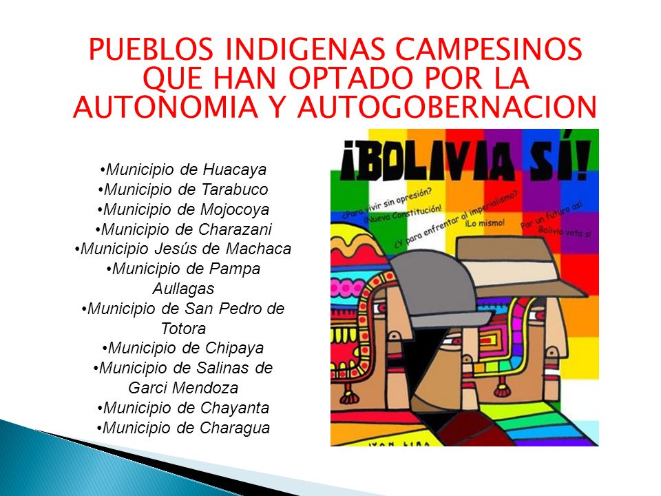 PUEBLOS INDIGENAS CAMPESINOS QUE HAN OPTADO POR LA AUTONOMIA Y AUTOGOBERNACION