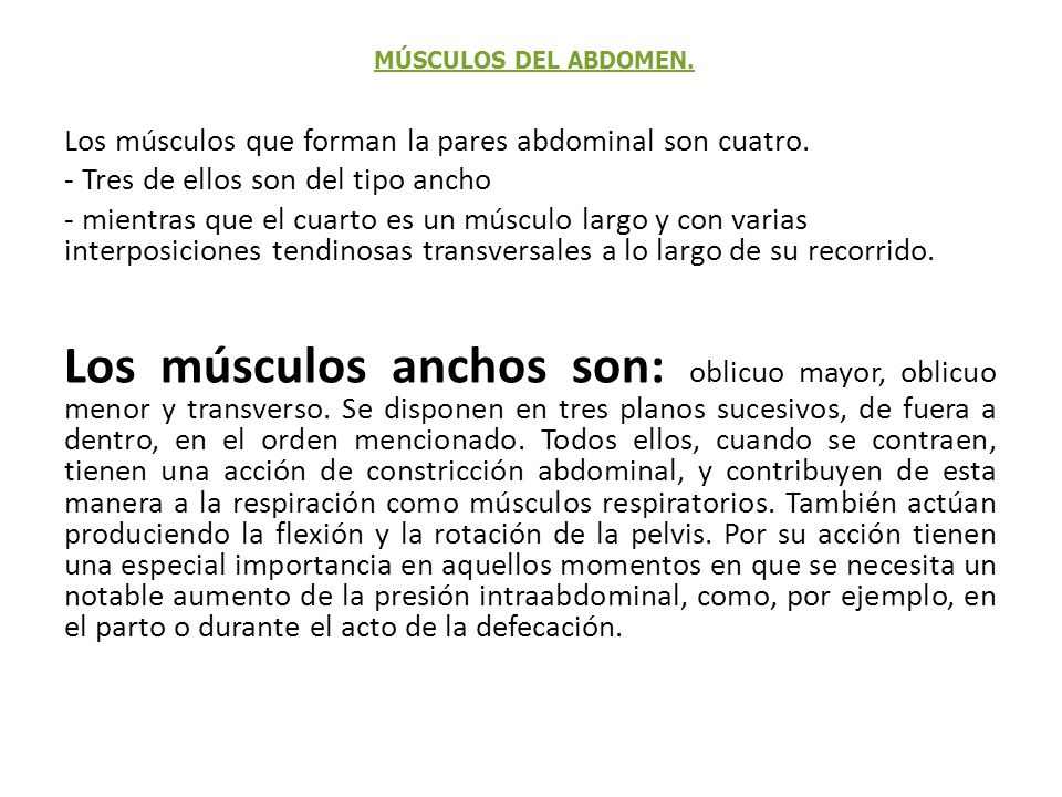 MÚSCULOS DEL ABDOMEN. Los músculos que forman la pares abdominal son cuatro. - Tres de ellos son del tipo ancho.