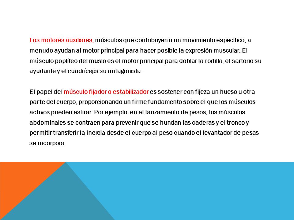 Los motores auxiliares, músculos que contribuyen a un movimiento específico, a menudo ayudan al motor principal para hacer posible la expresión muscular.