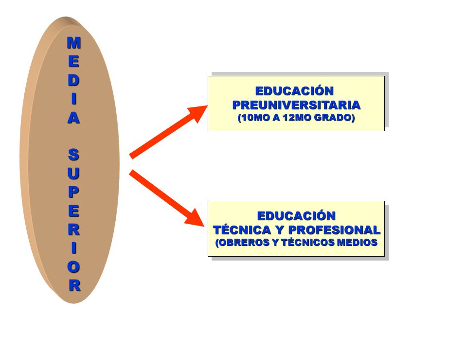 (OBREROS Y TÉCNICOS MEDIOS
