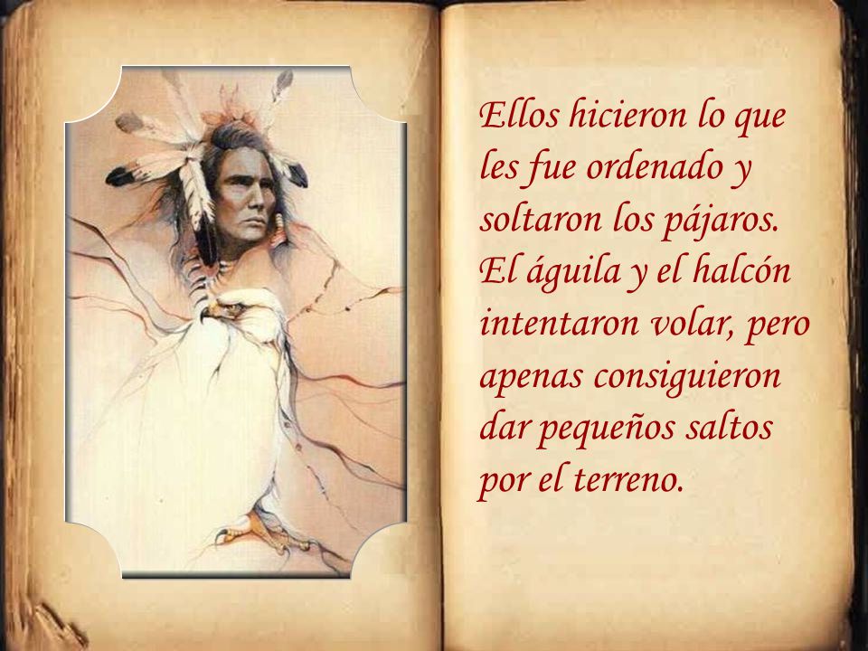 Ellos hicieron lo que les fue ordenado y soltaron los pájaros
