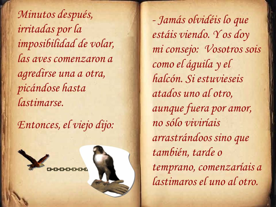 Minutos después, irritadas por la imposibilidad de volar, las aves comenzaron a agredirse una a otra, picándose hasta lastimarse.