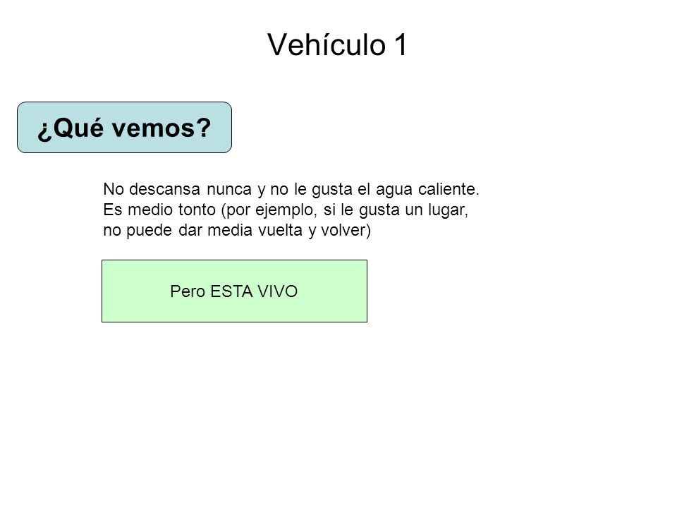 Vehículo 1 ¿Qué vemos No descansa nunca y no le gusta el agua caliente. Es medio tonto (por ejemplo, si le gusta un lugar,