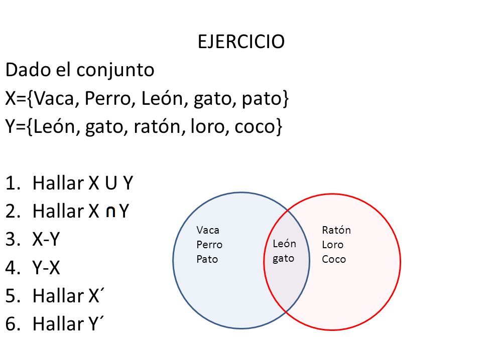 X={Vaca, Perro, León, gato, pato} Y={León, gato, ratón, loro, coco}