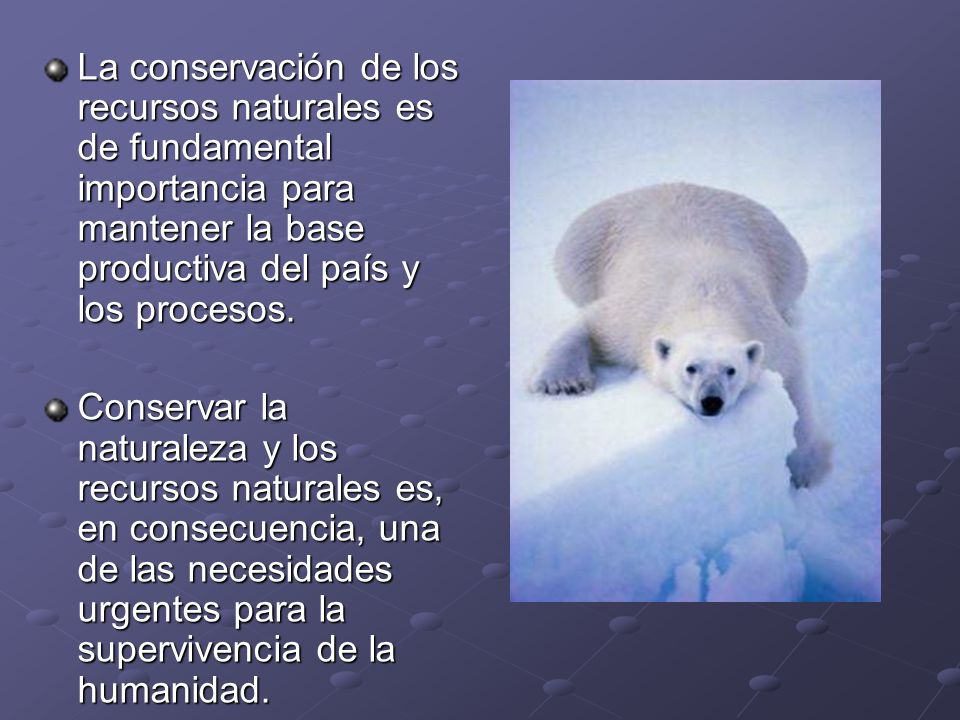 La conservación de los recursos naturales es de fundamental importancia para mantener la base productiva del país y los procesos.