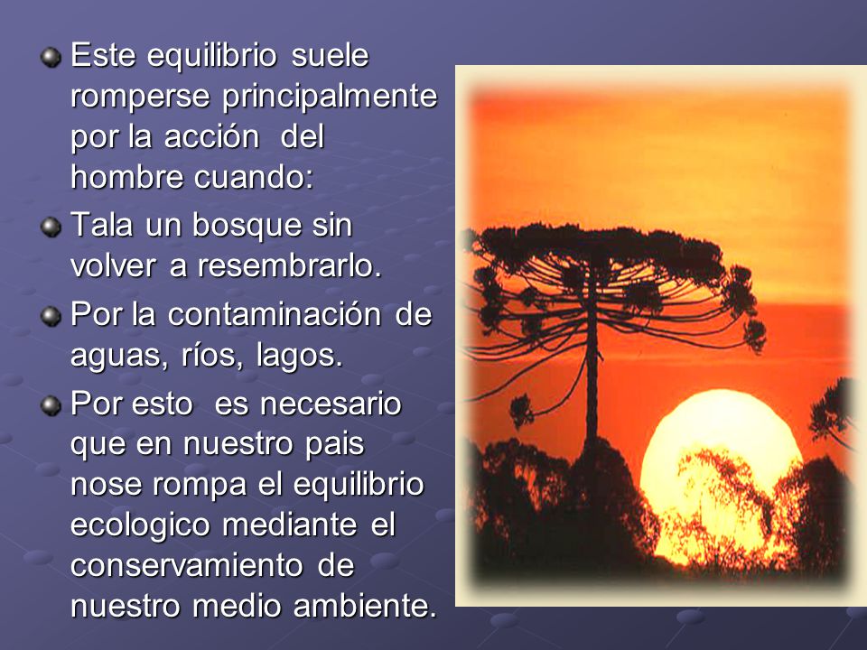 Este equilibrio suele romperse principalmente por la acción del hombre cuando: