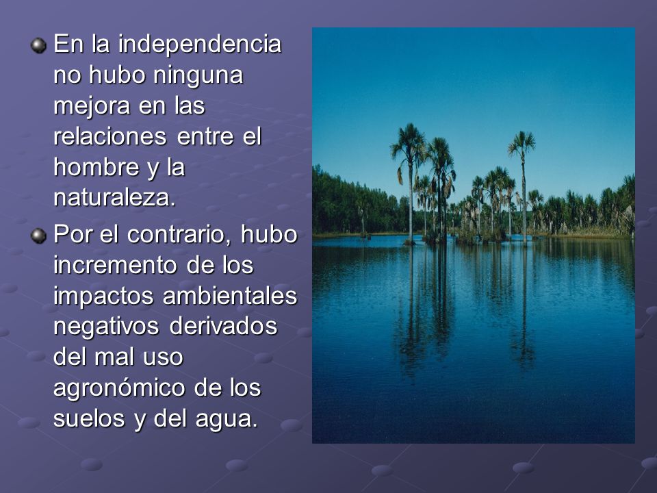 En la independencia no hubo ninguna mejora en las relaciones entre el hombre y la naturaleza.