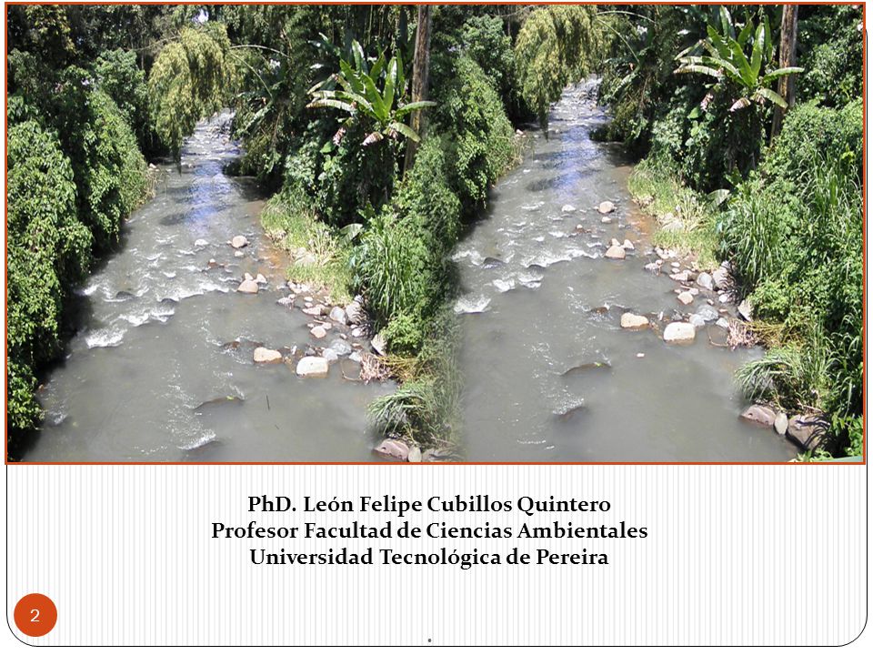 PhD. León Felipe Cubillos Quintero Profesor Facultad de Ciencias Ambientales Universidad Tecnológica de Pereira