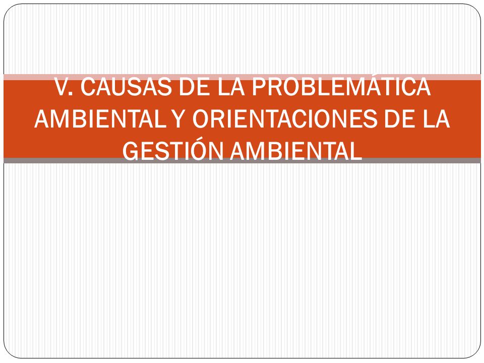 V. CAUSAS DE LA PROBLEMÁTICA AMBIENTAL Y ORIENTACIONES DE LA GESTIÓN AMBIENTAL