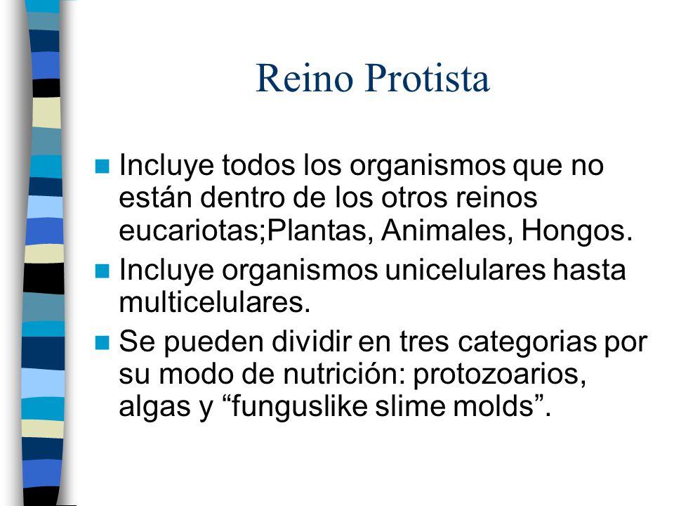 Reino Protista Incluye todos los organismos que no están dentro de los otros reinos eucariotas;Plantas, Animales, Hongos.
