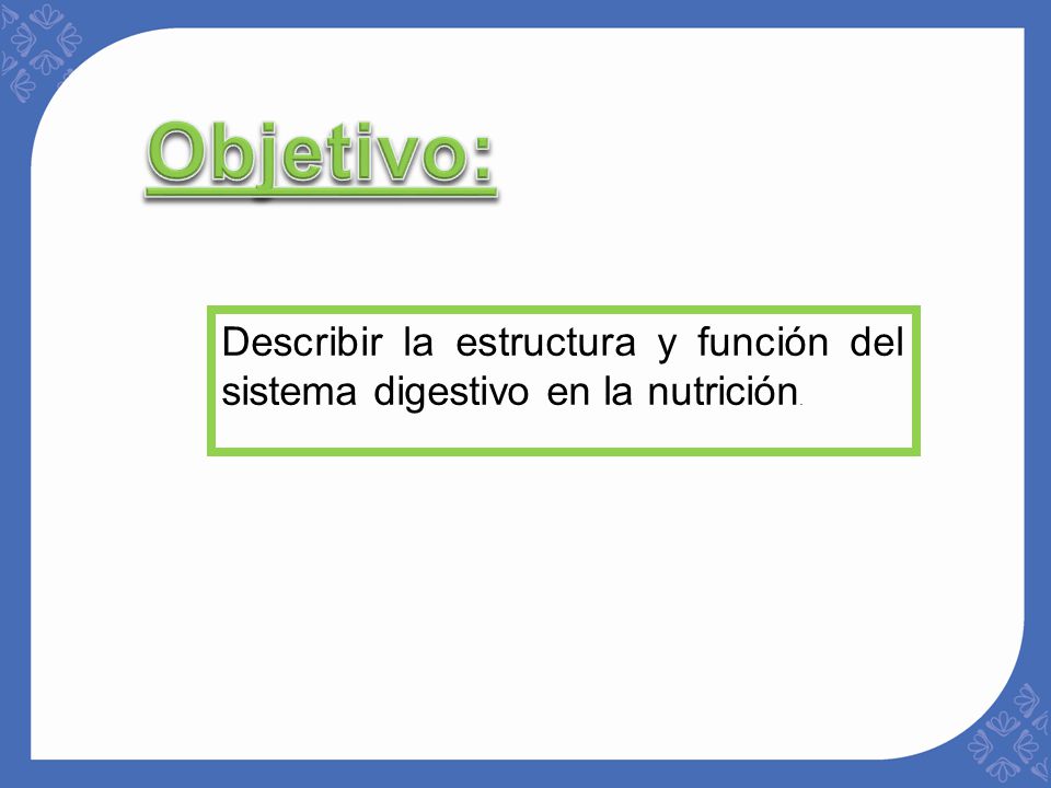 Objetivo: Describir la estructura y función del sistema digestivo en la nutrición.